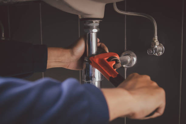 Best Clogged Drain Plumber  in Fremont, NE